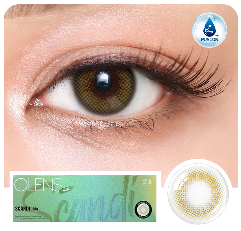 Scandi Olive ( 1 Day )
